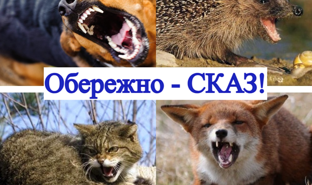 УВАГА СКАЗ